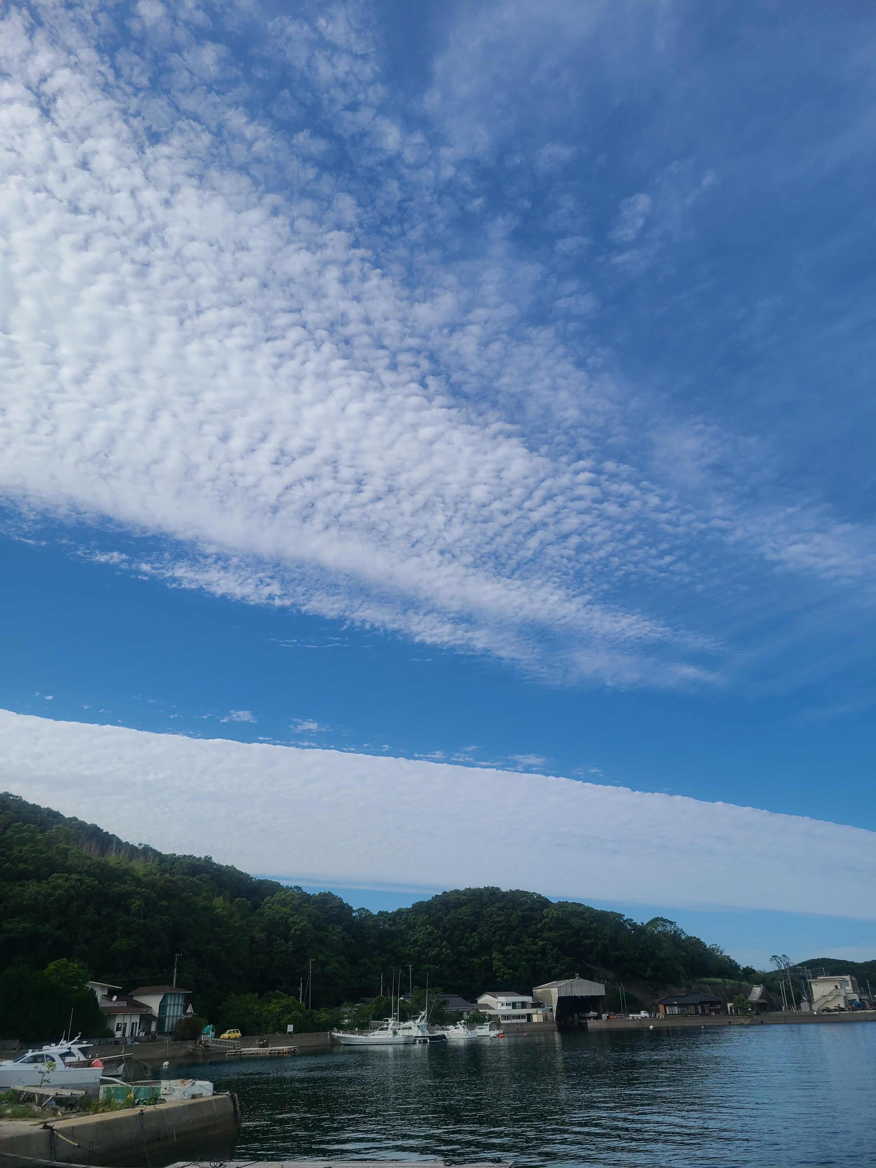 f:id:conosole:20210604220537j:image
