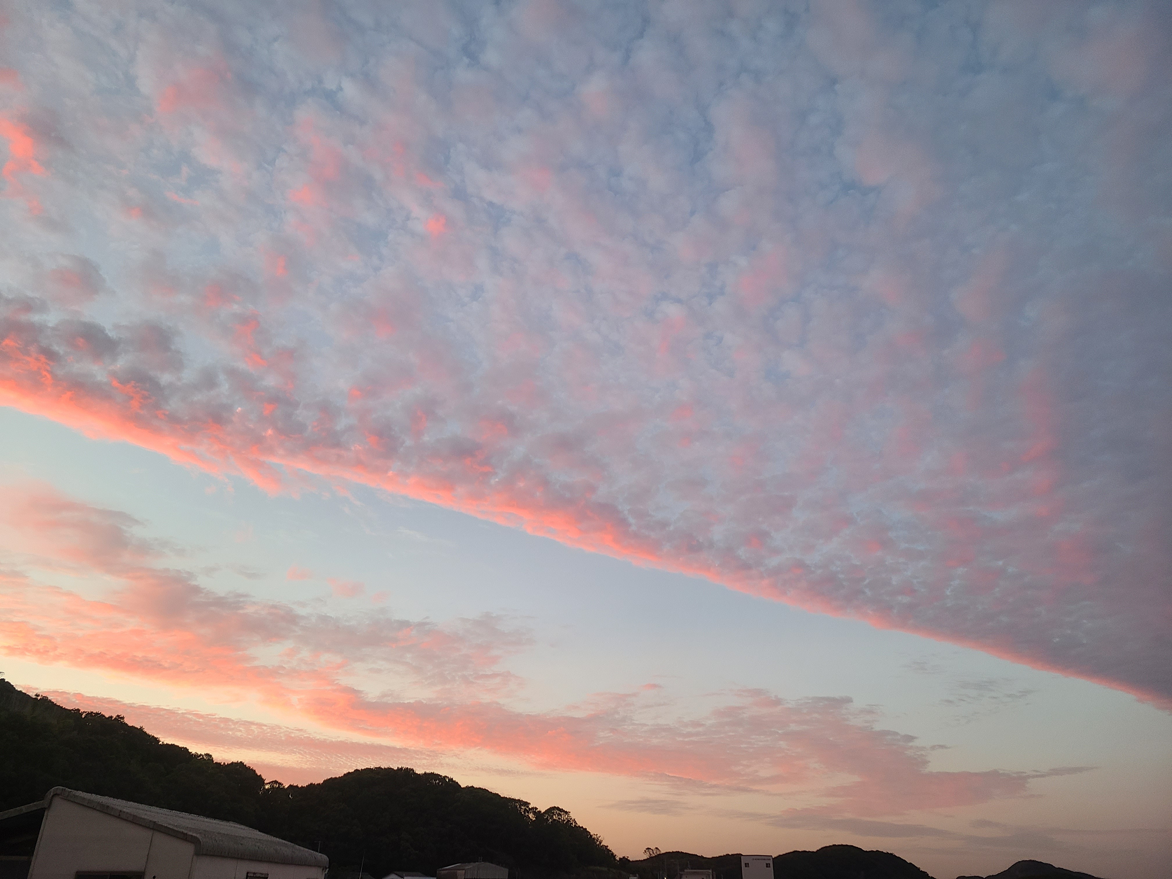 f:id:conosole:20210604220813j:image