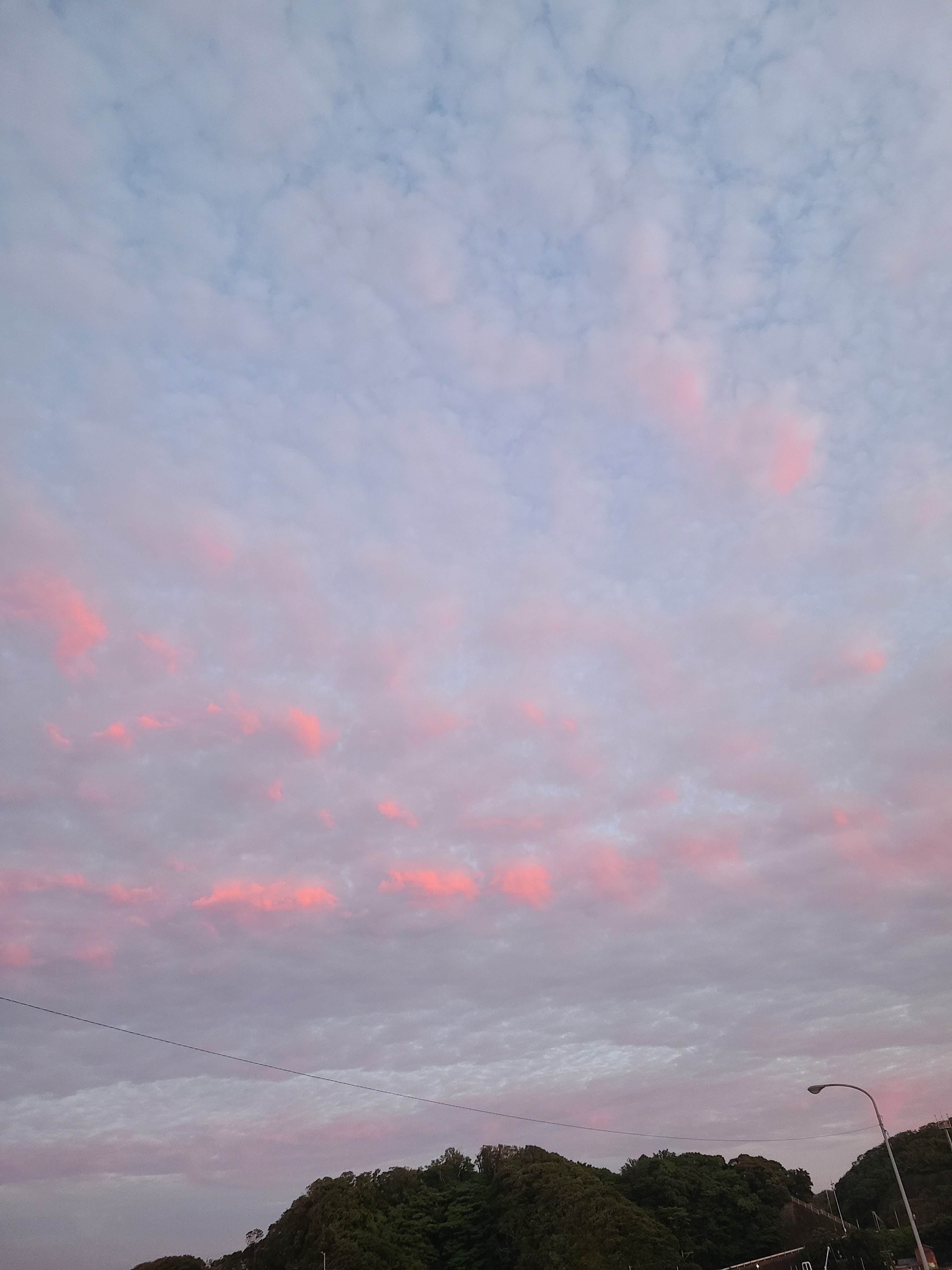 f:id:conosole:20210604220819j:image