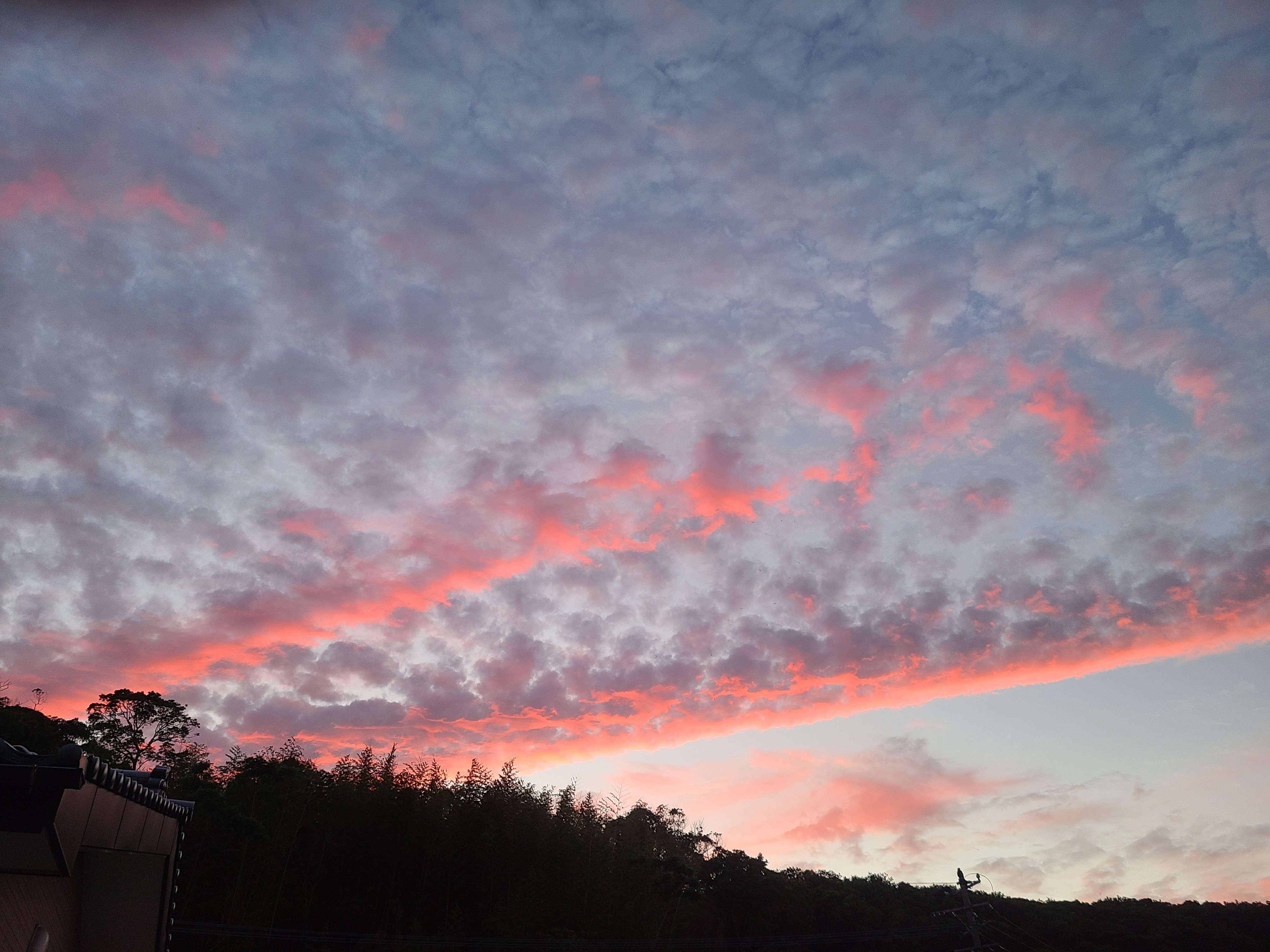 f:id:conosole:20210604220826j:image