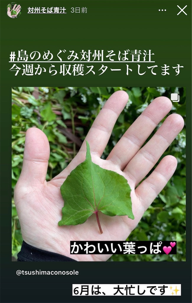 f:id:conosole:20210619060703j:image f:id:conosole:20210619060703j:image