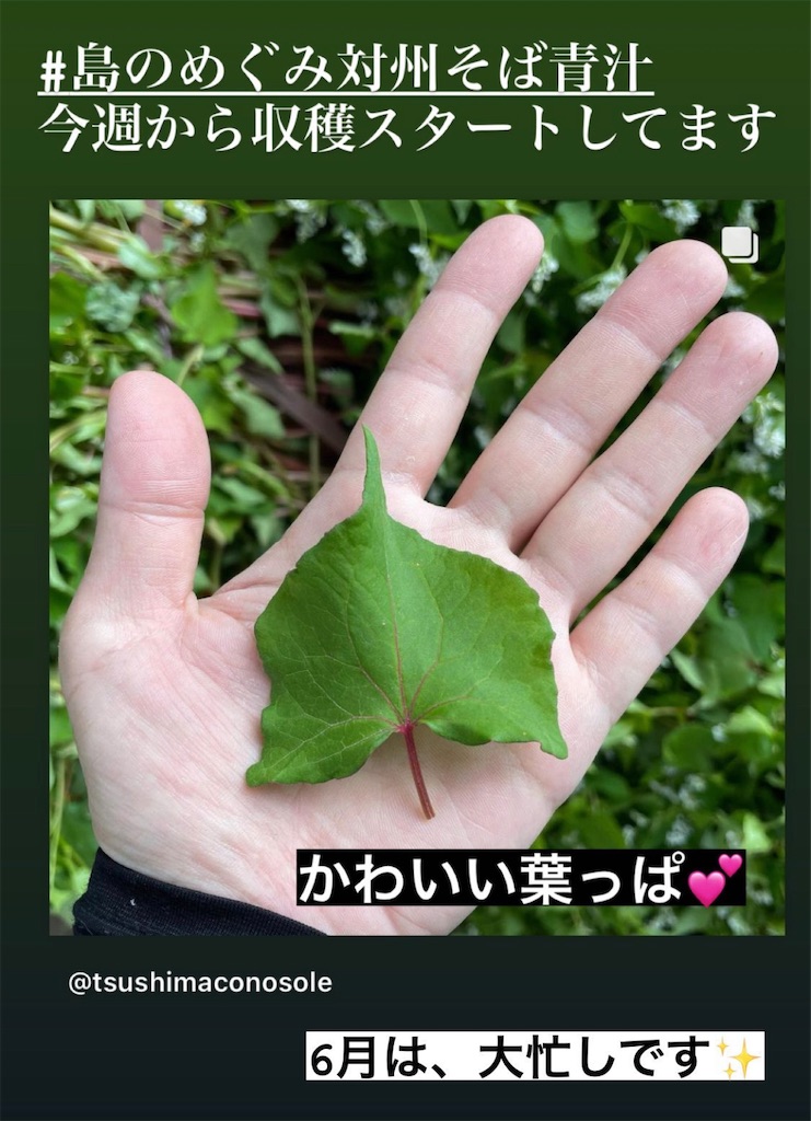 f:id:conosole:20210622001246j:image