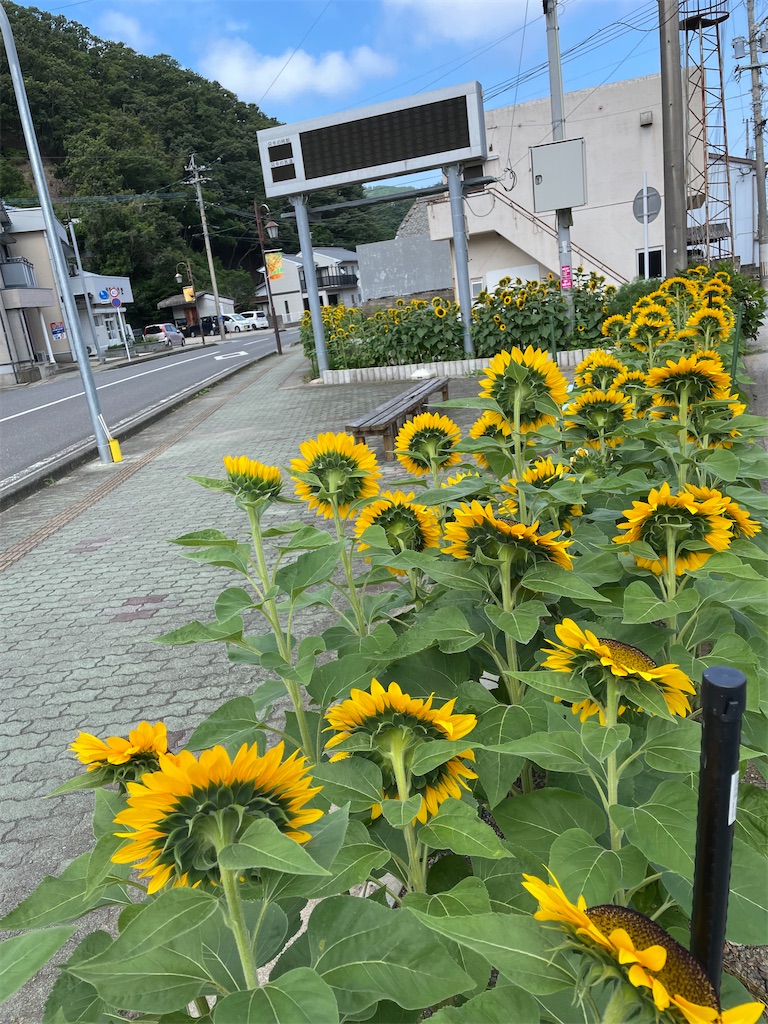 f:id:conosole:20210714054134j:image