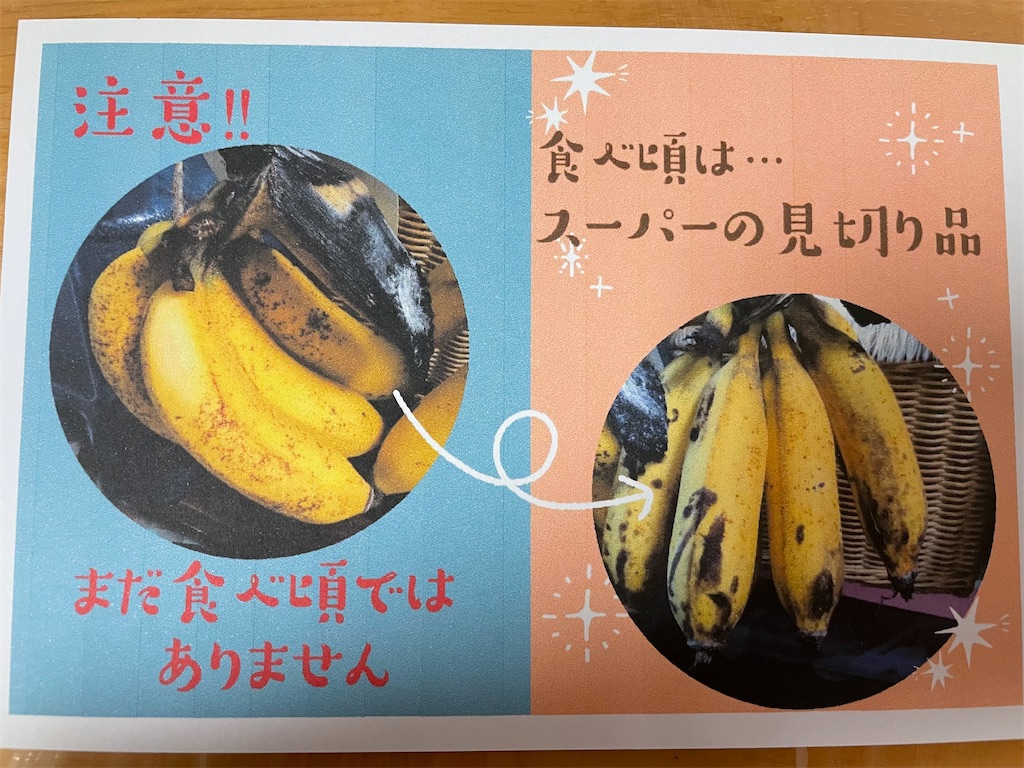 f:id:conosole:20210721080612j:image