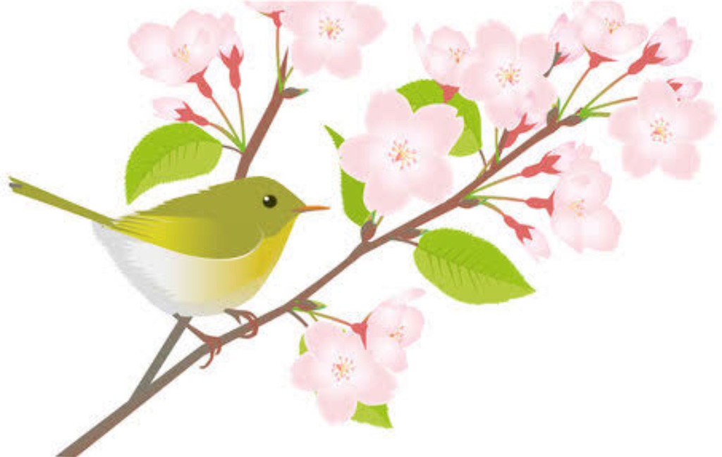f:id:conosole:20210725064208j:image