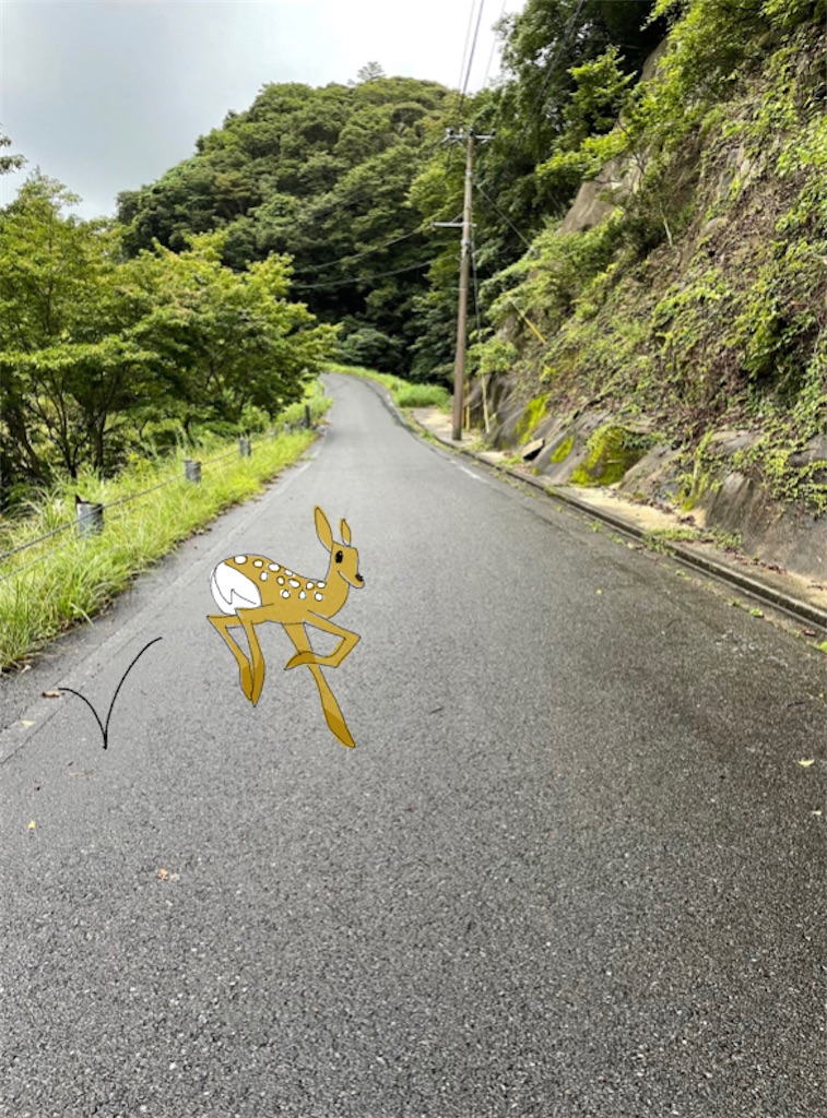 庭にいた子鹿 c6906908d3a2c91c583dcf1c4789c5