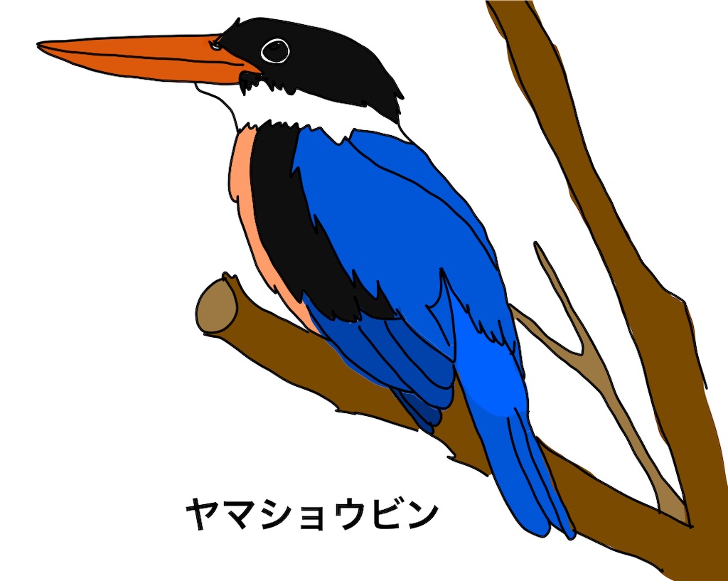 f:id:conosole:20211007054636j:image f:id:conosole:20211007054636j:image
