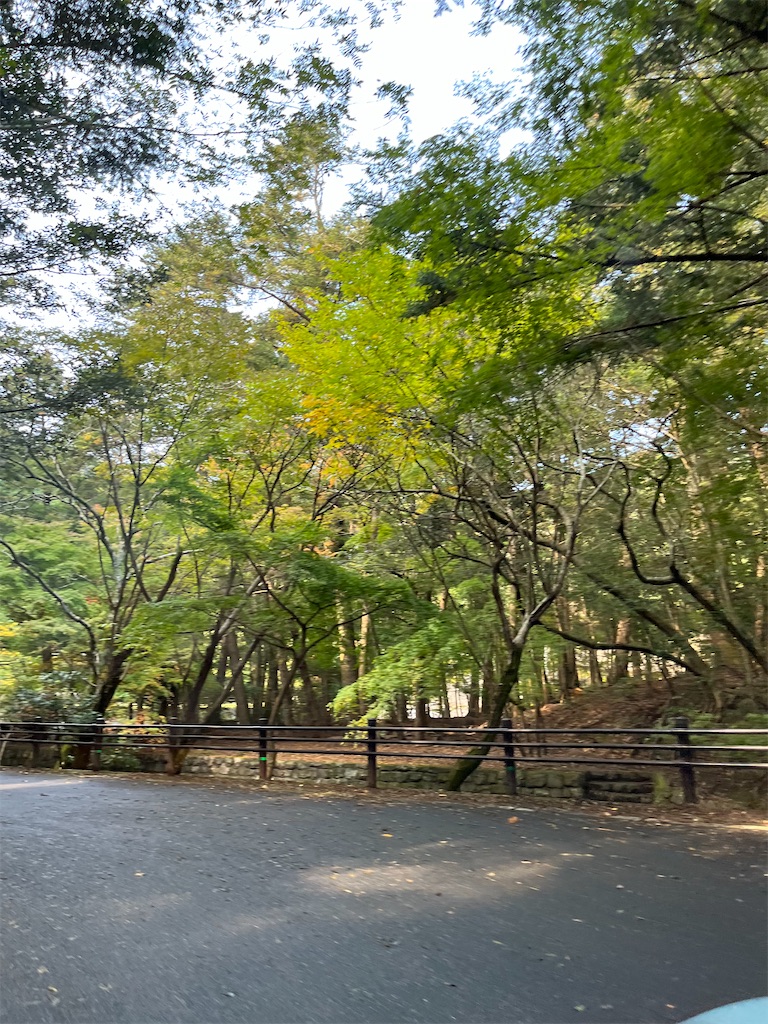 f:id:conosole:20211105024906j:image