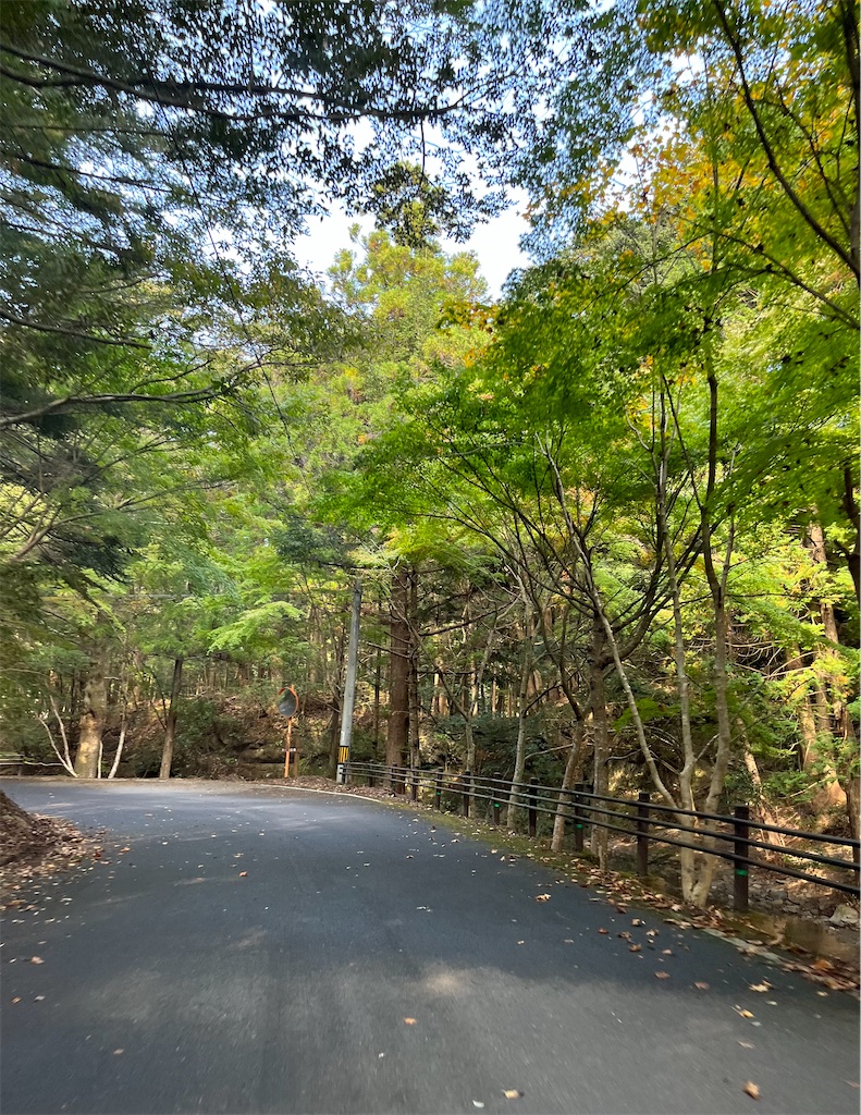 f:id:conosole:20211105025039j:image