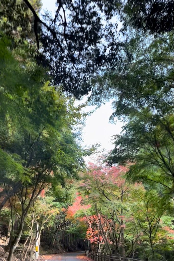 f:id:conosole:20211105025315j:image