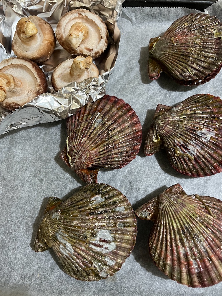 f:id:conosole:20211106101036j:image