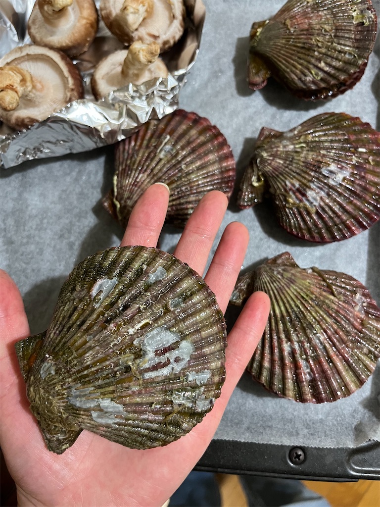 f:id:conosole:20211106101124j:image