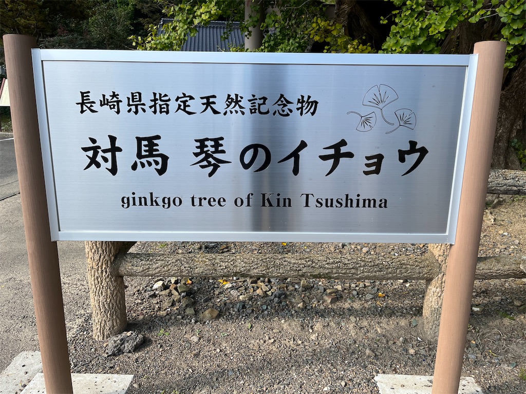 f:id:conosole:20211108112836j:image f:id:conosole:20211108112836j:image