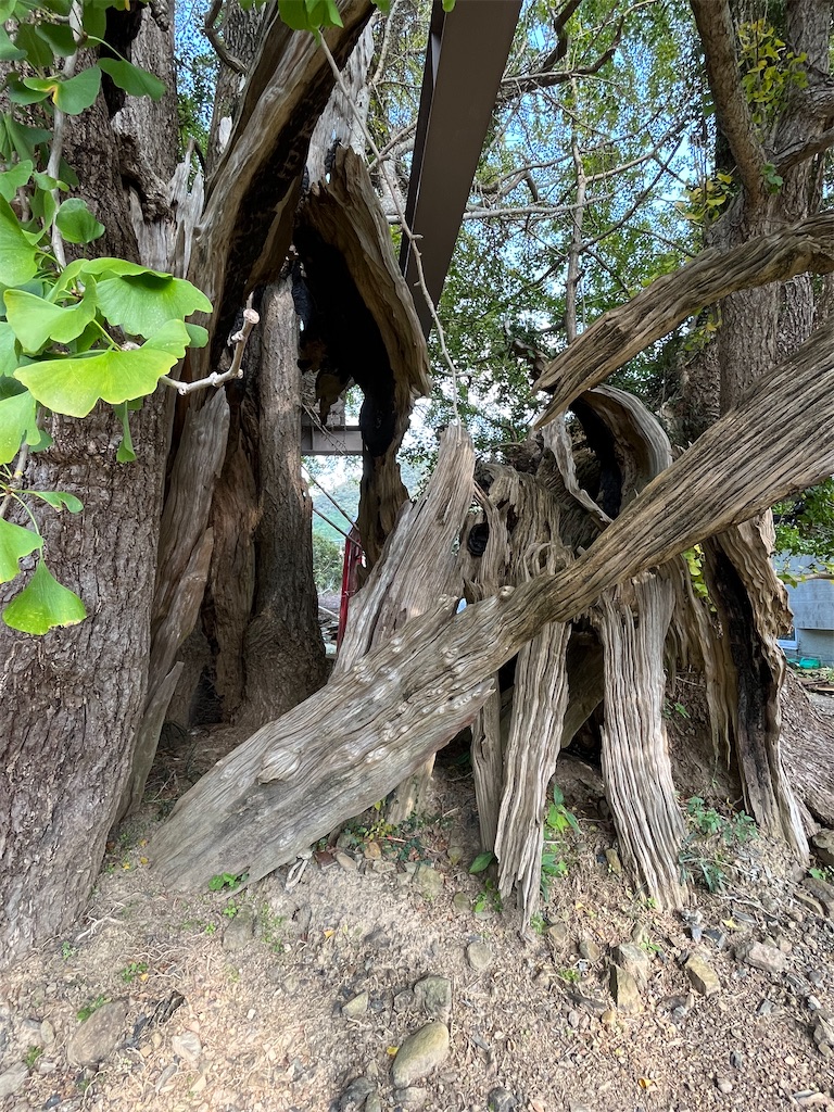 f:id:conosole:20211108112904j:image f:id:conosole:20211108112904j:image