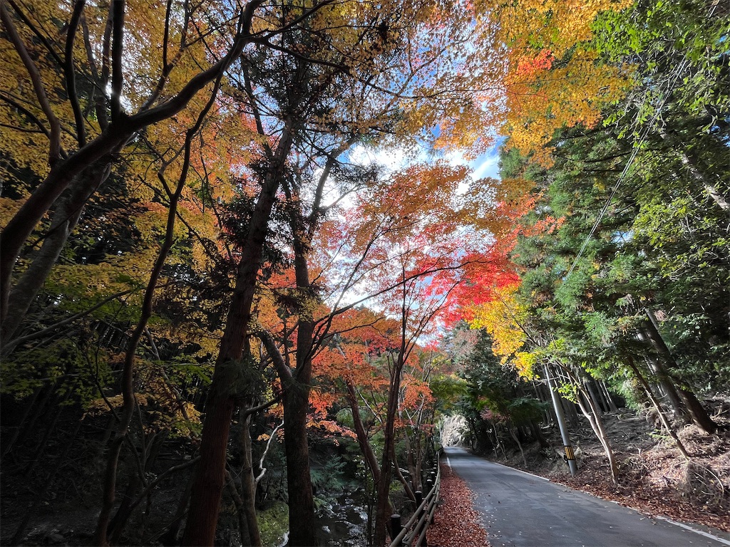 f:id:conosole:20211108113027j:image f:id:conosole:20211108113027j:image