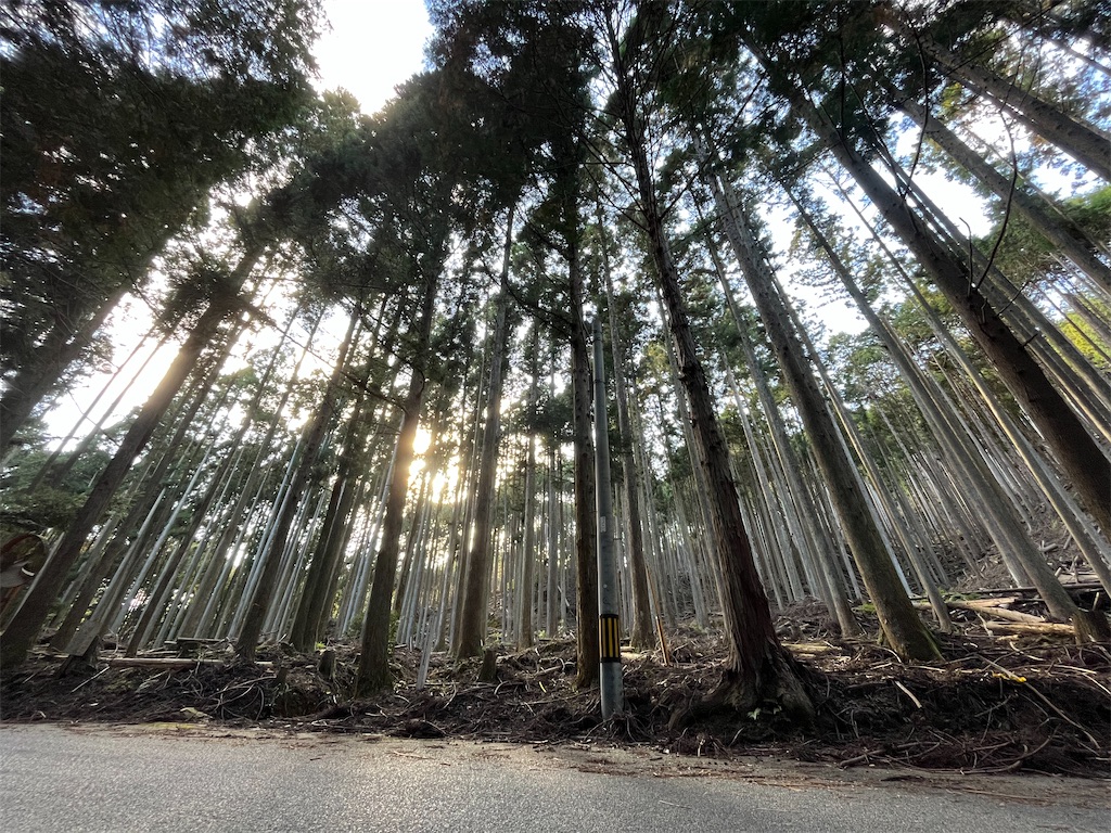 f:id:conosole:20211108113125j:image f:id:conosole:20211108113125j:image