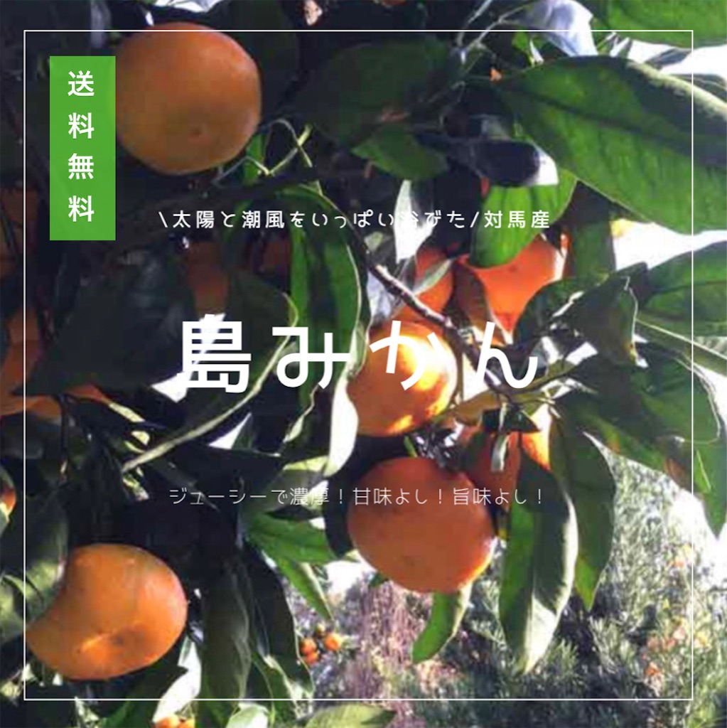 f:id:conosole:20220102071003j:image f:id:conosole:20220102071003j:image