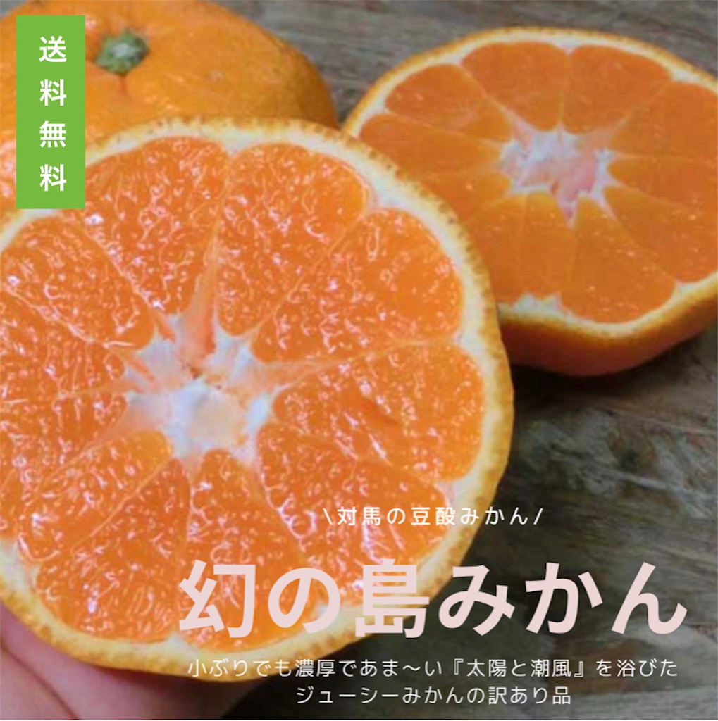 f:id:conosole:20220102071131j:image f:id:conosole:20220102071131j:image