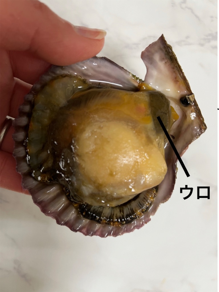 f:id:conosole:20220112155716j:image