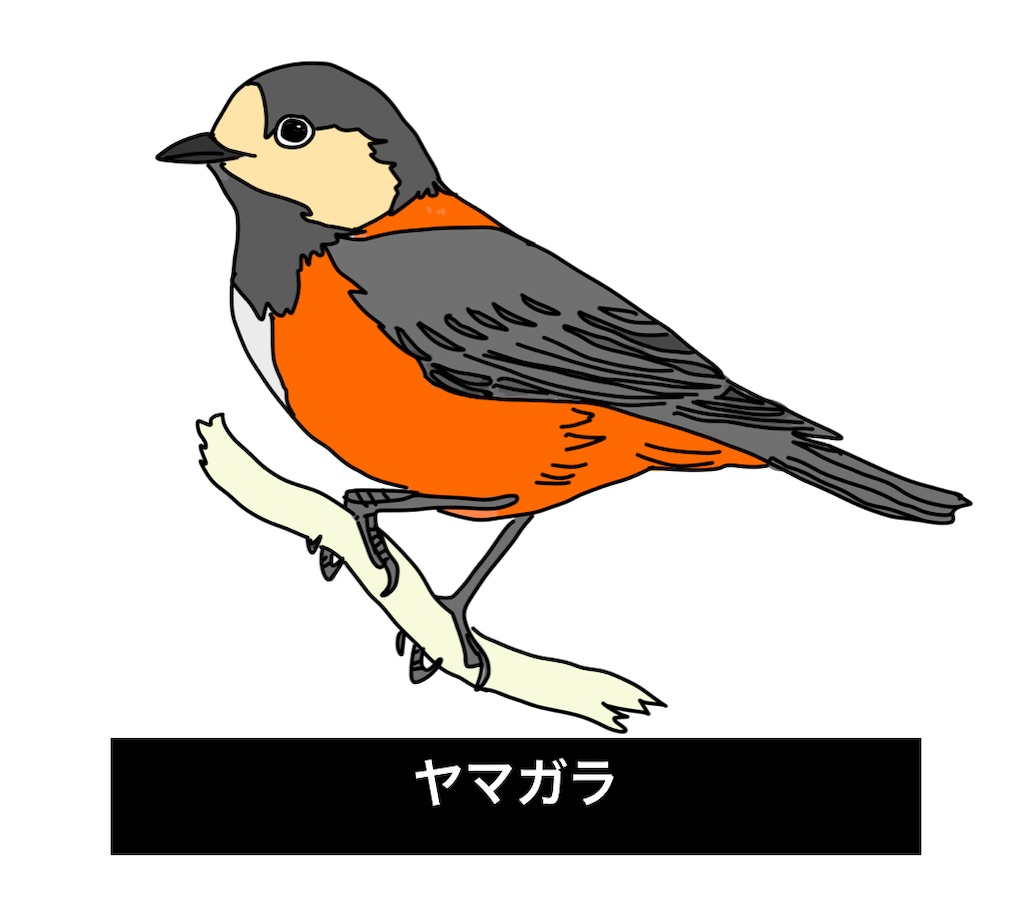 f:id:conosole:20220211181529j:image