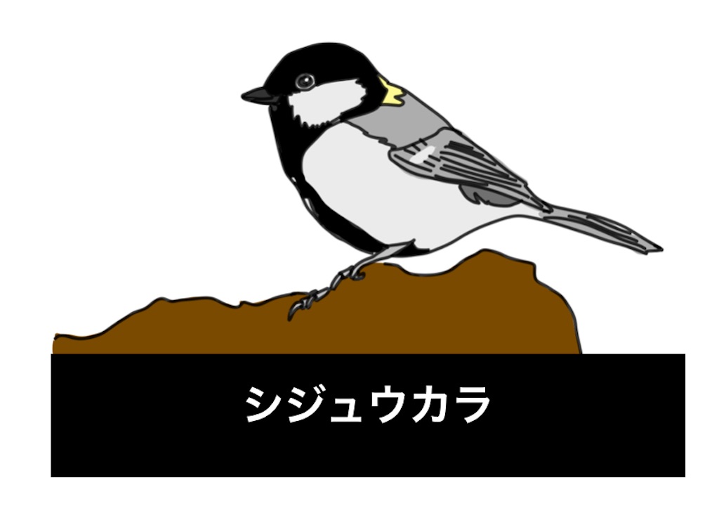 f:id:conosole:20220211181541j:image