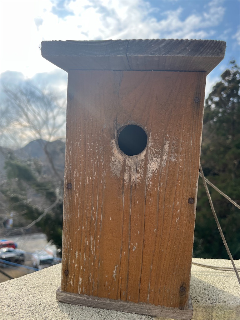 f:id:conosole:20220211183721j:image