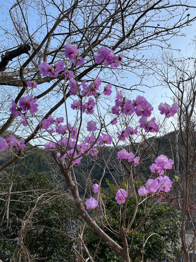 f:id:conosole:20220316011843j:image