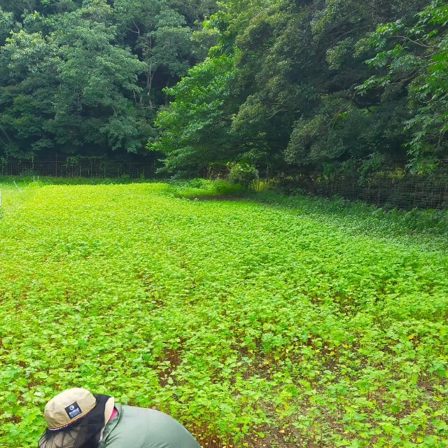 f:id:conosole:20230630074957j:image f:id:conosole:20230630074957j:image