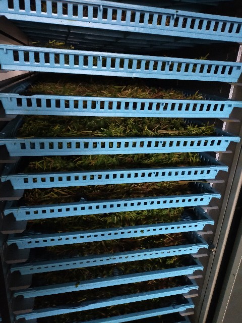 f:id:conosole:20230630075129j:image f:id:conosole:20230630075129j:image