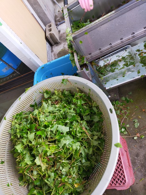 f:id:conosole:20230630075154j:image f:id:conosole:20230630075154j:image