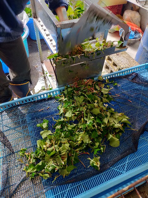 f:id:conosole:20230630075225j:image f:id:conosole:20230630075225j:image