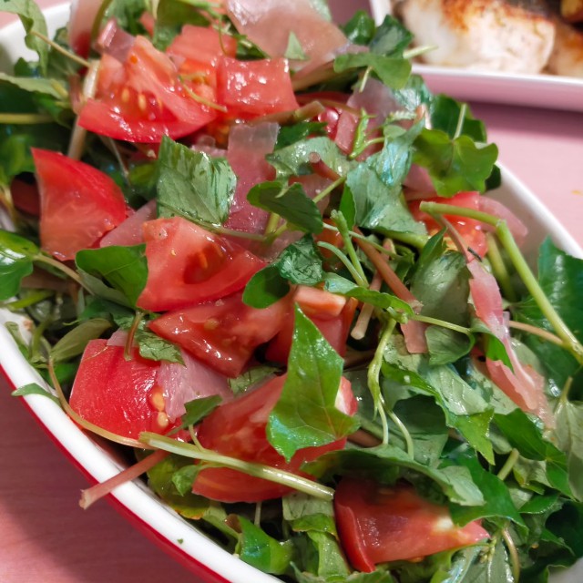 f:id:conosole:20230630080634j:image f:id:conosole:20230630080634j:image