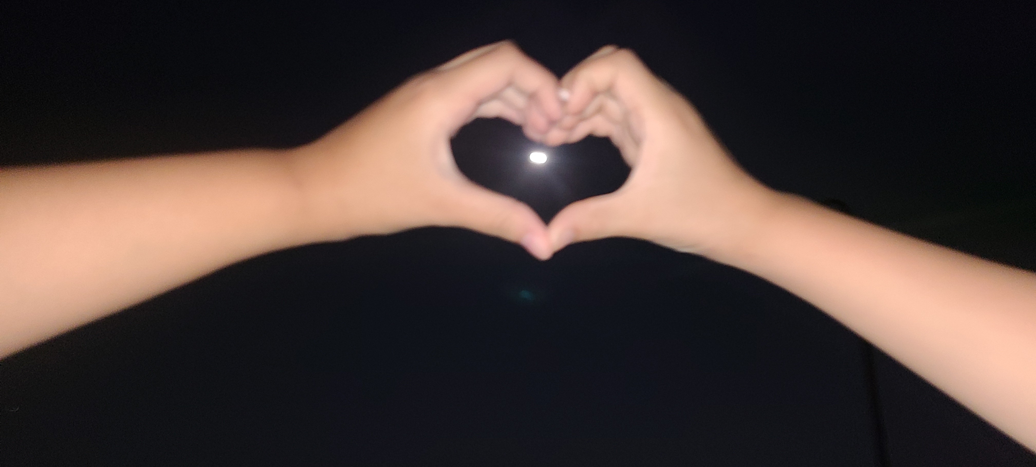 f:id:conosole:20231017181932j:image