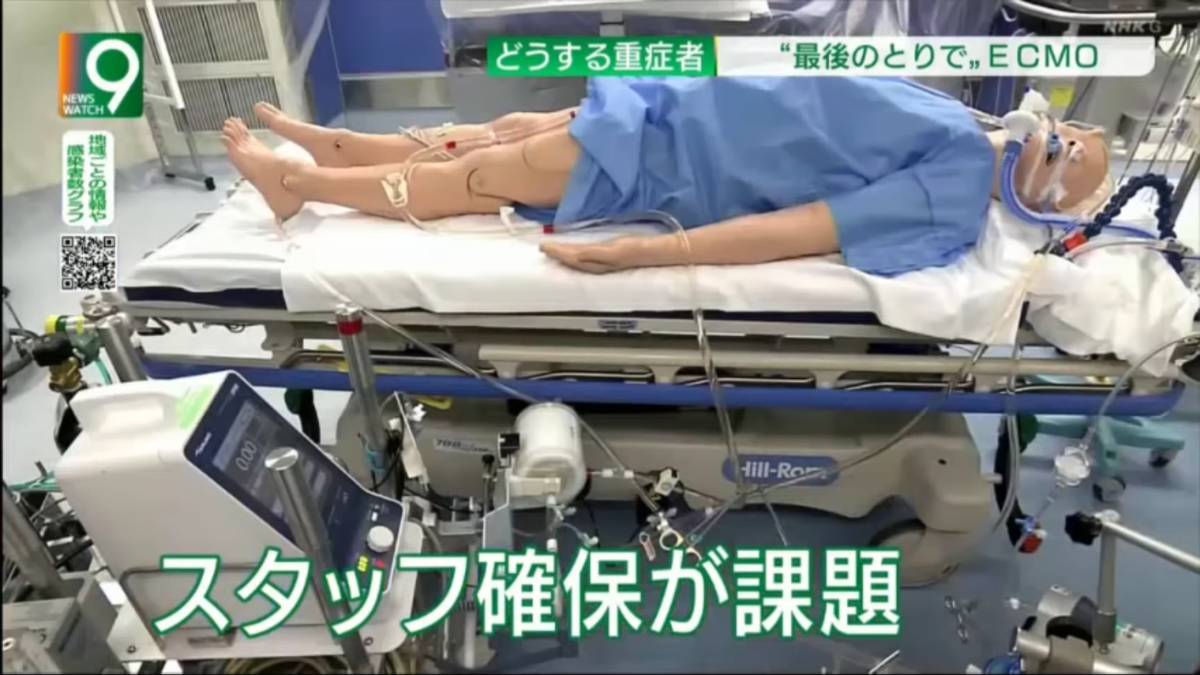 f:id:conoyohirari:20210909213712p:plain:w450