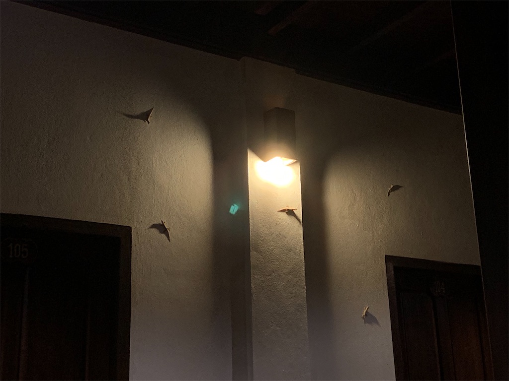 f:id:conroe215:20200507211859j:image