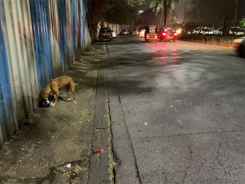 f:id:conroe215:20230321030942j:image f:id:conroe215:20230321030942j:image