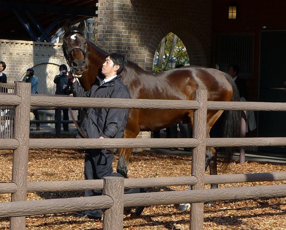 f:id:consigliere:20111007113155j:image