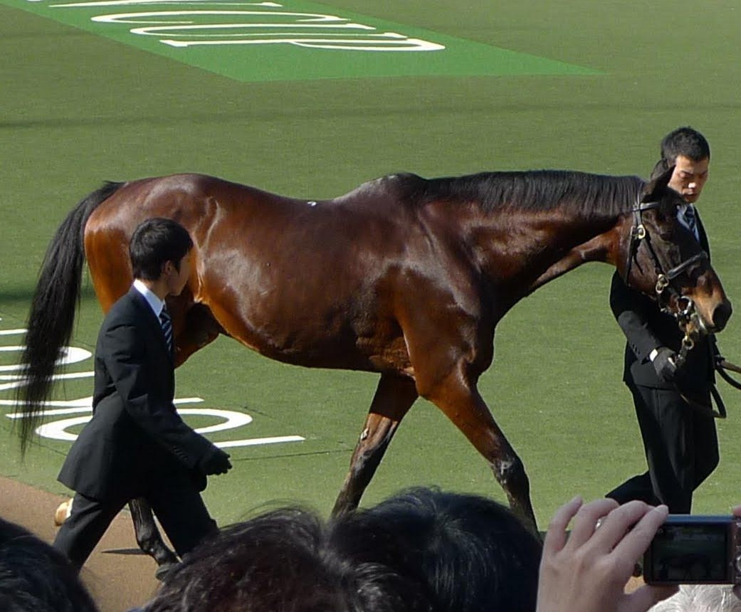 f:id:consigliere:20111007113232j:image