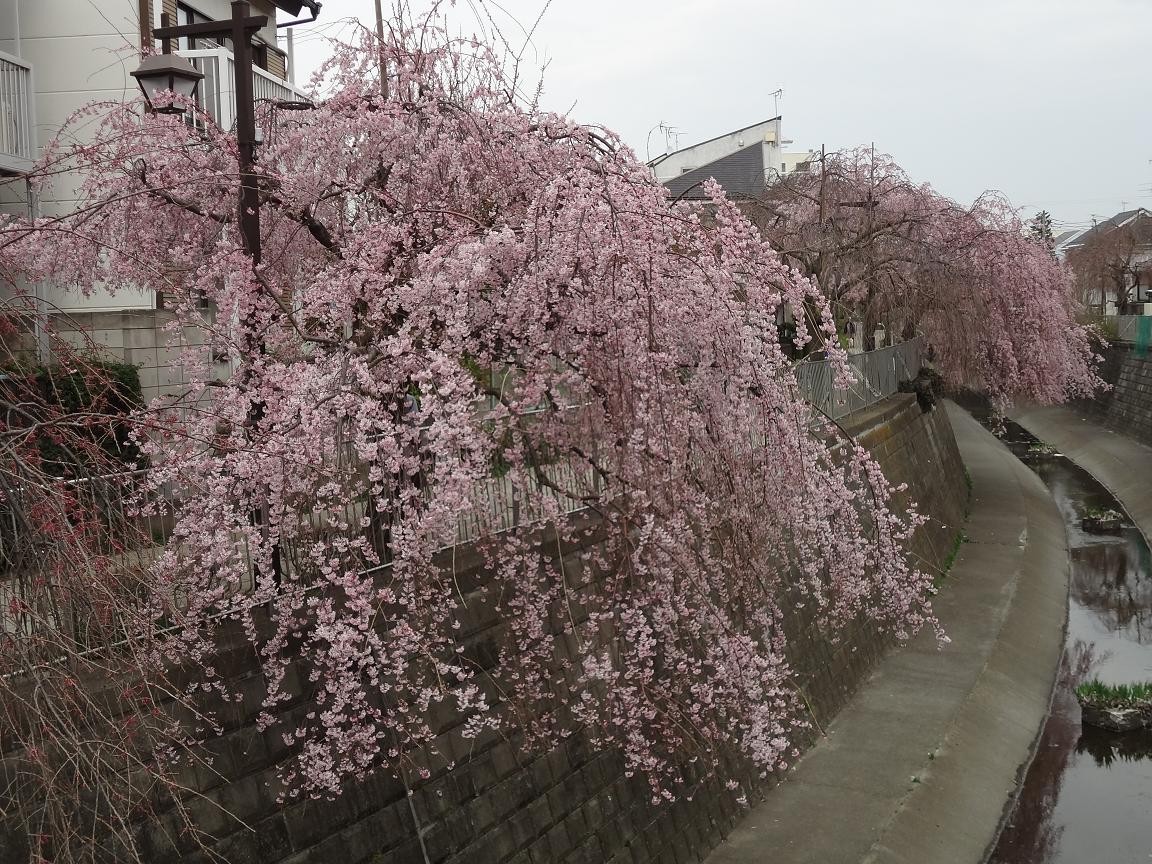 f:id:consigliere:20130320164926j:image