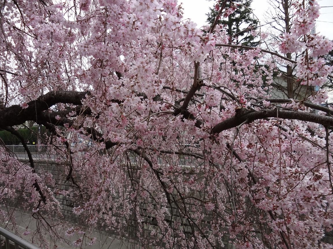 f:id:consigliere:20130320165149j:image