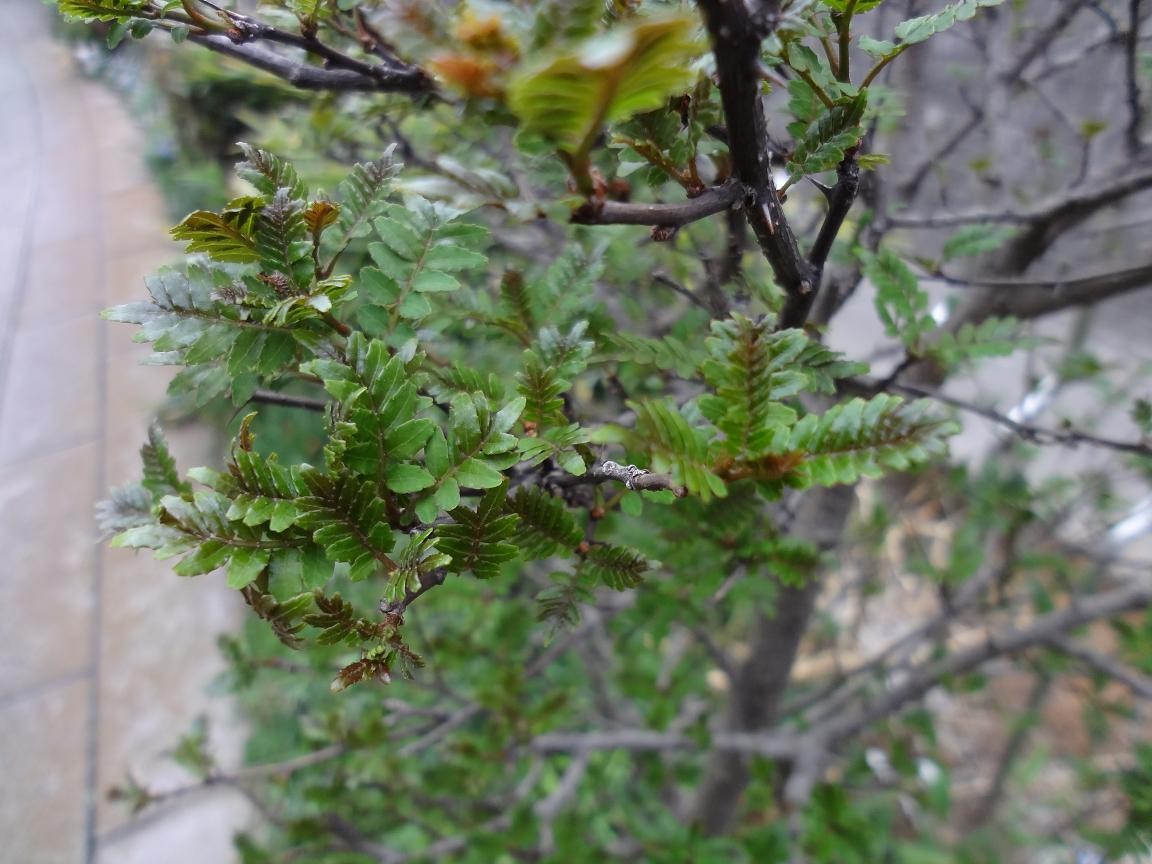 f:id:consigliere:20130320170703j:image