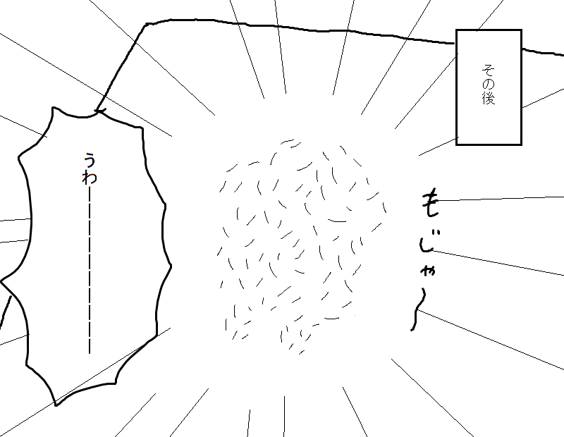 f:id:consommecorochan:20170511233853p:plain