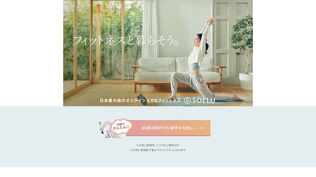 SOELU、姿勢がいい人、男性、姿勢の改善