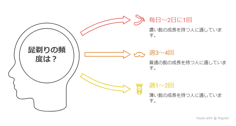 大学生、髭剃り、頻度