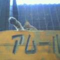 f:id:contractio:20050919162557j:image