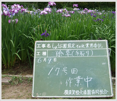 f:id:contractio:20070615232307j:image