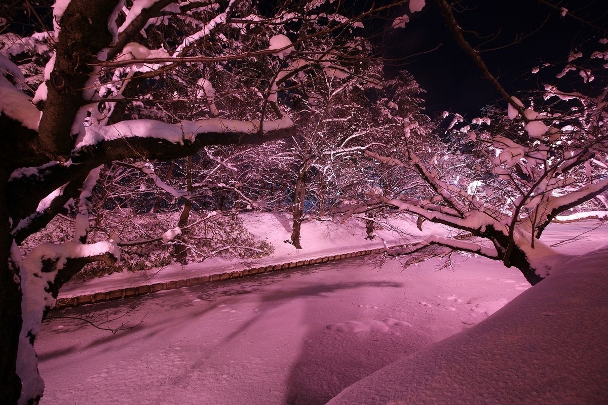 f:id:conzaghi:20201213221012j:plain
