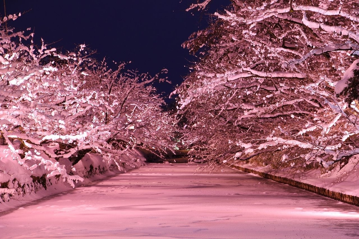 f:id:conzaghi:20201213221018j:plain