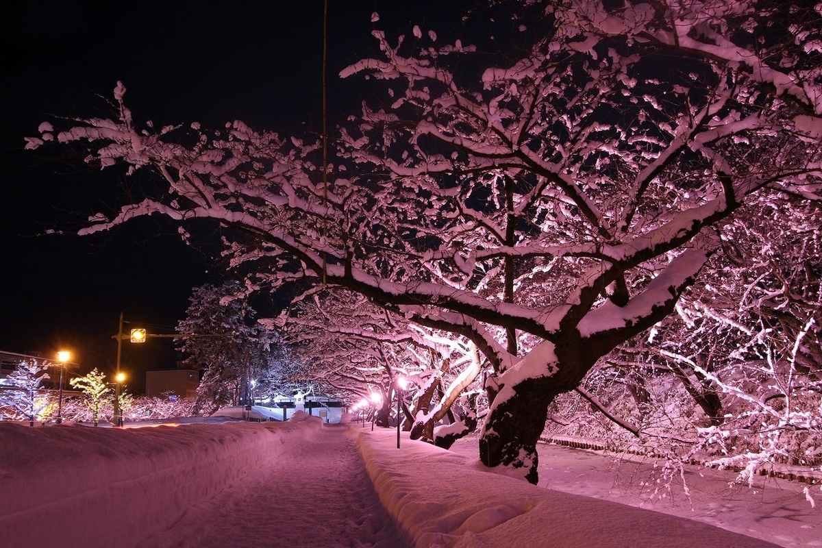 f:id:conzaghi:20201213221025j:plain