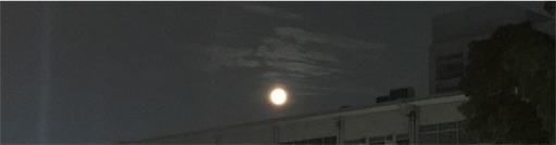 f:id:coodori:20200804031028j:plain